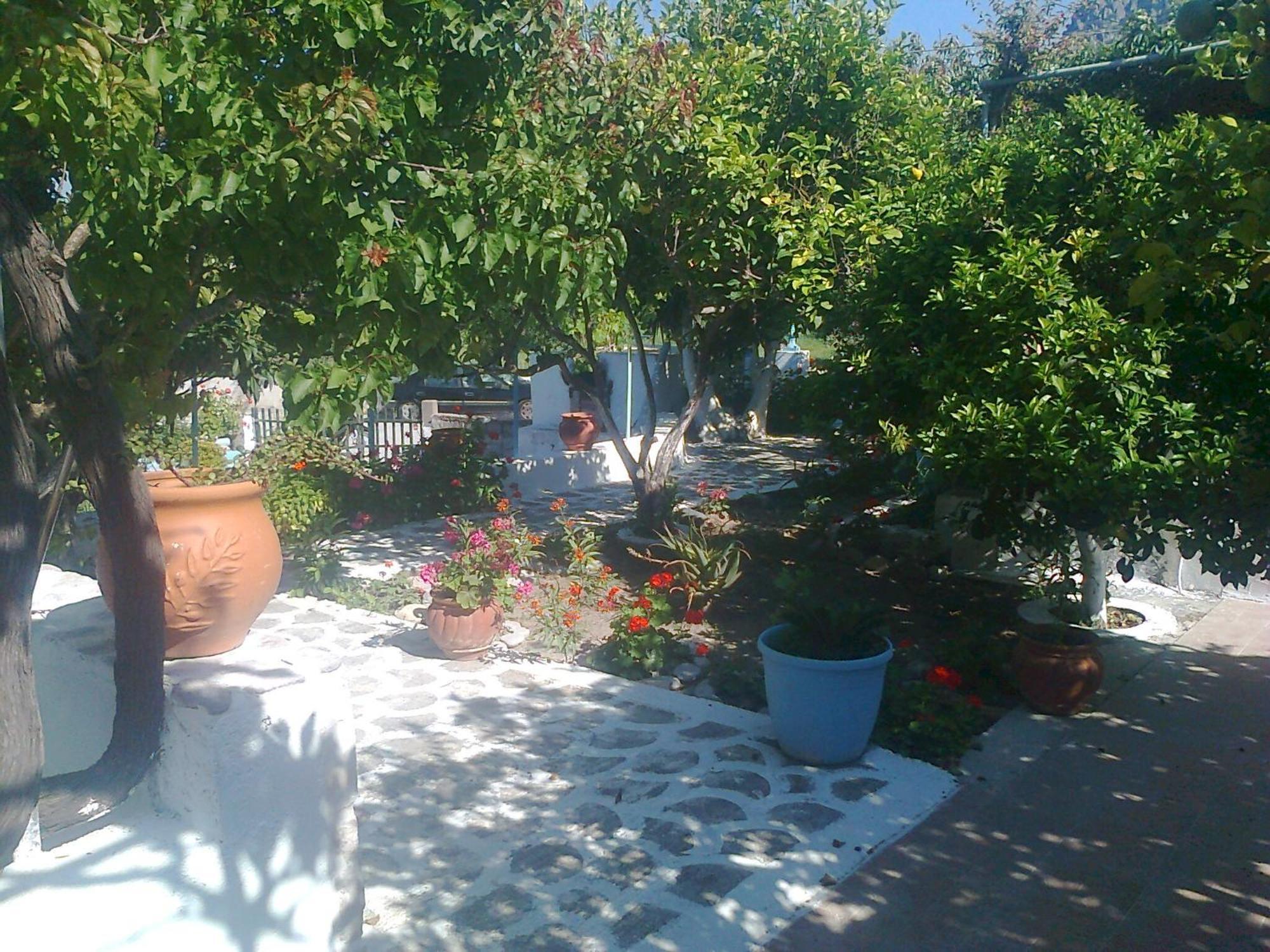 קפלוס Dionysia Studios מראה חיצוני תמונה