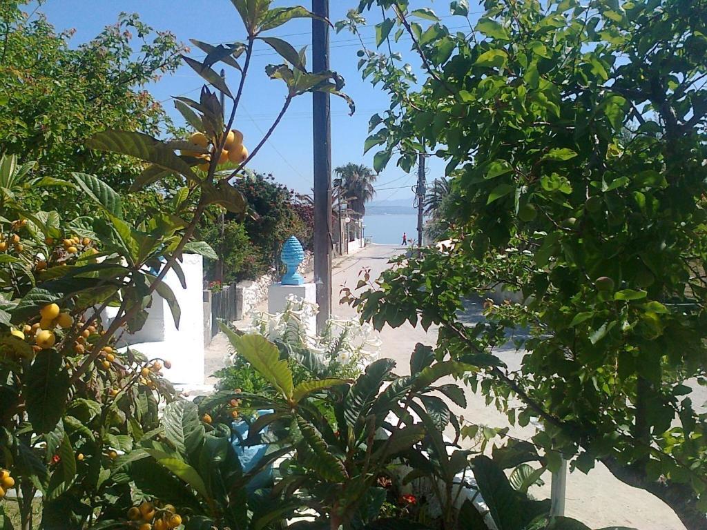 קפלוס Dionysia Studios מראה חיצוני תמונה