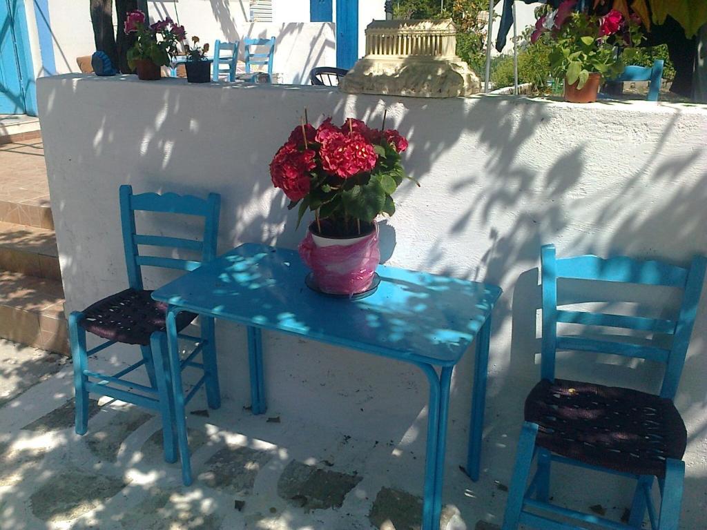 קפלוס Dionysia Studios מראה חיצוני תמונה